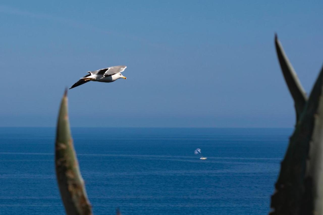 Il Poggio Di Tropea Ξενοδοχείο Parghelia Εξωτερικό φωτογραφία